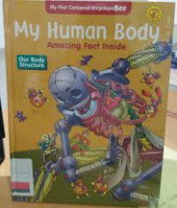 Image of My Human Body (Amazing Fact Inside) Our Body Structure